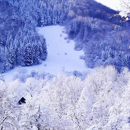 Semesteranläggning (resort) Carpathia 4*