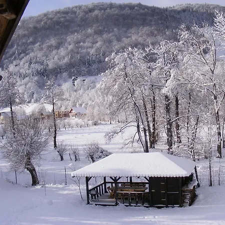 Carpathia Bran (Brasov)